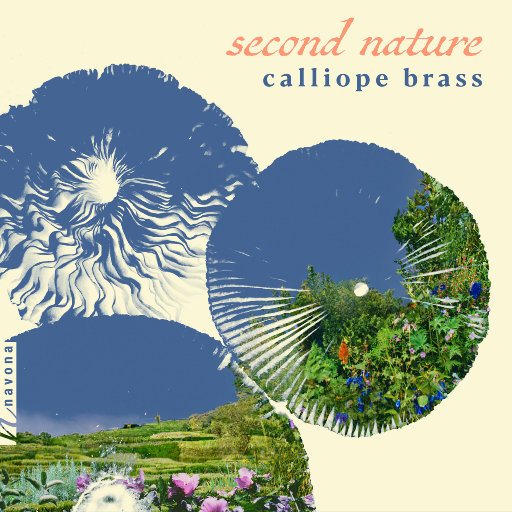 影音先锋在线观看视频
